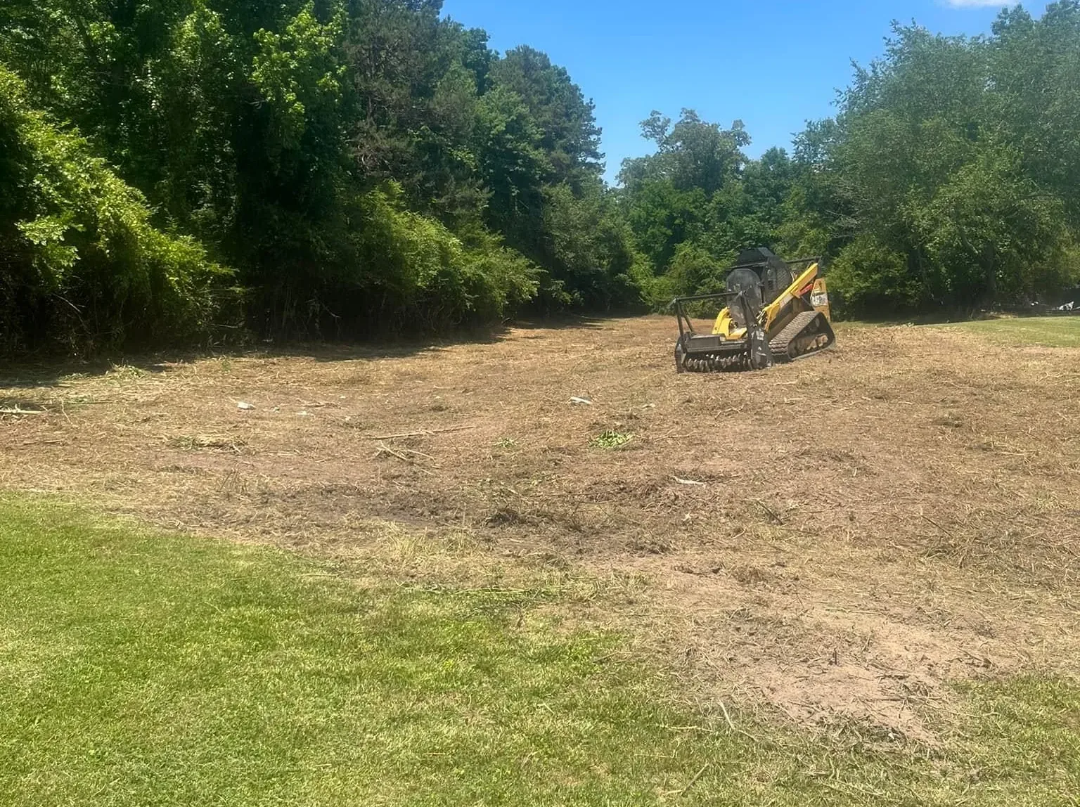Cat compact track loader with rotary forestry mulching head clearing a tree line.