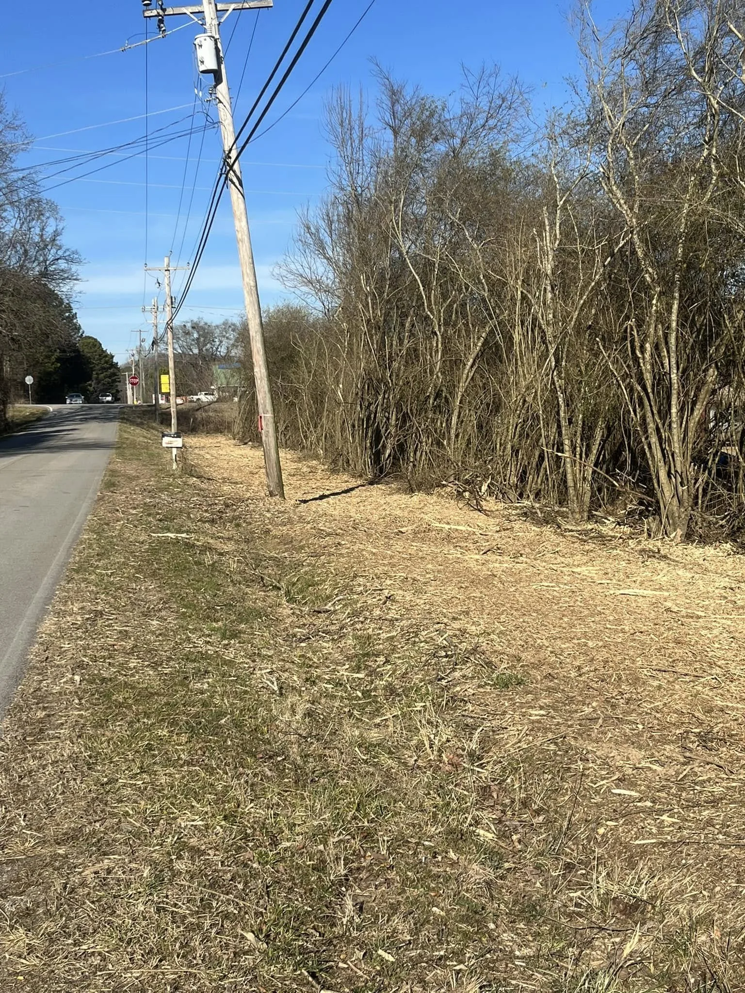 Same fence line cleared and mulched after one pass.