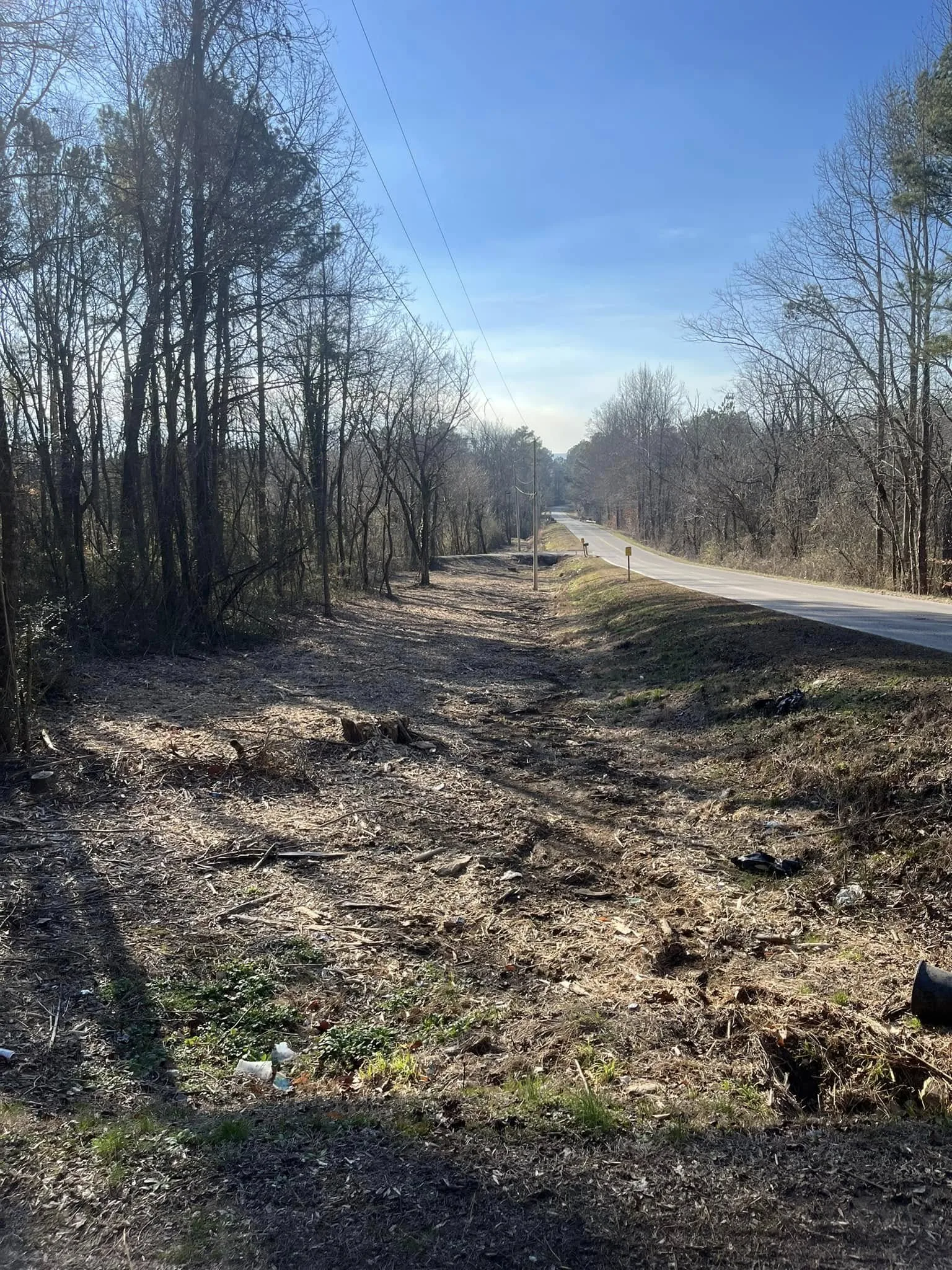 Same property line after final mulch pass.