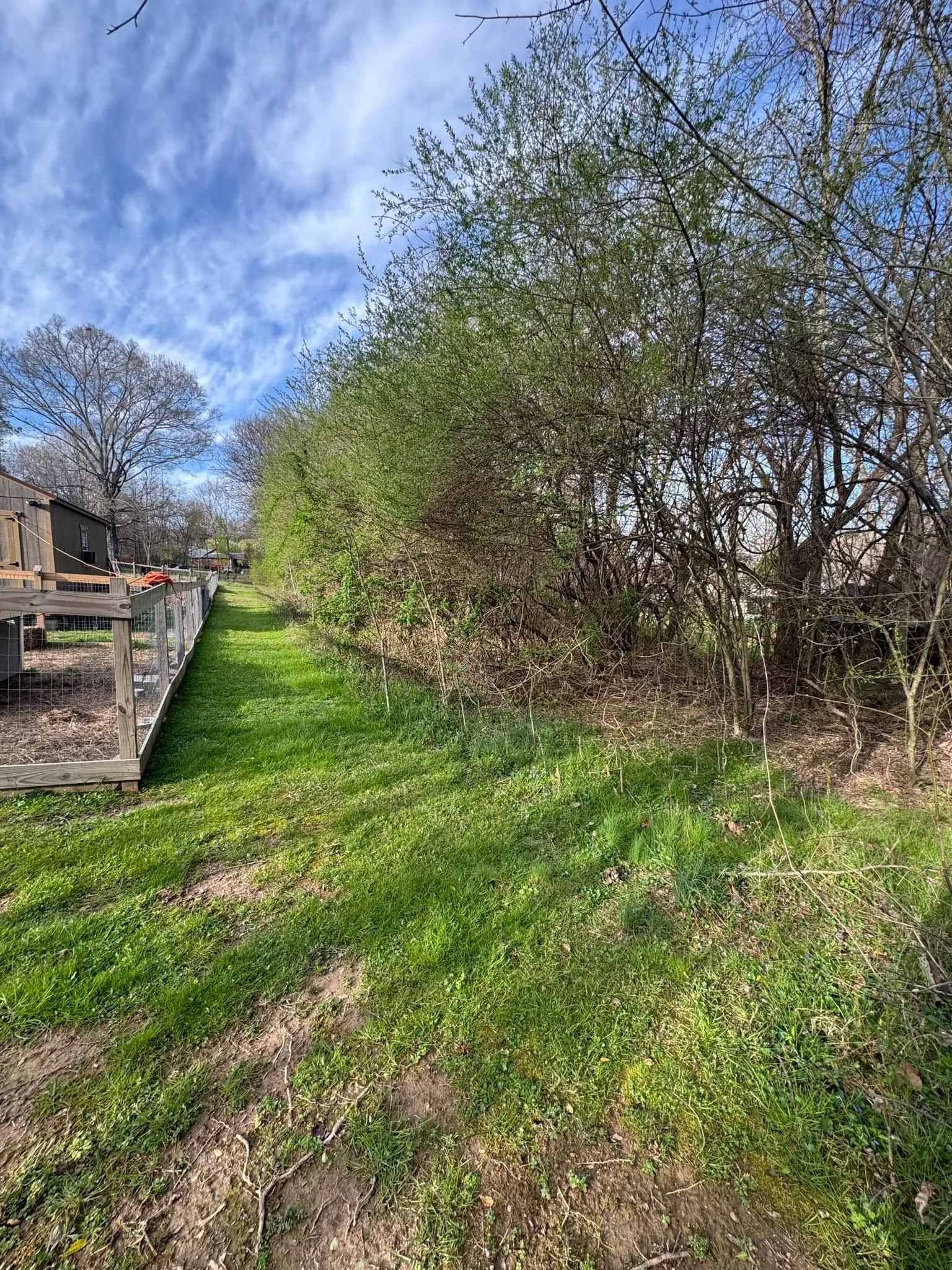 Before — Hedgerow brush clearing.