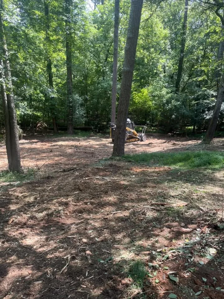 Same residential lot cleared, walkable.