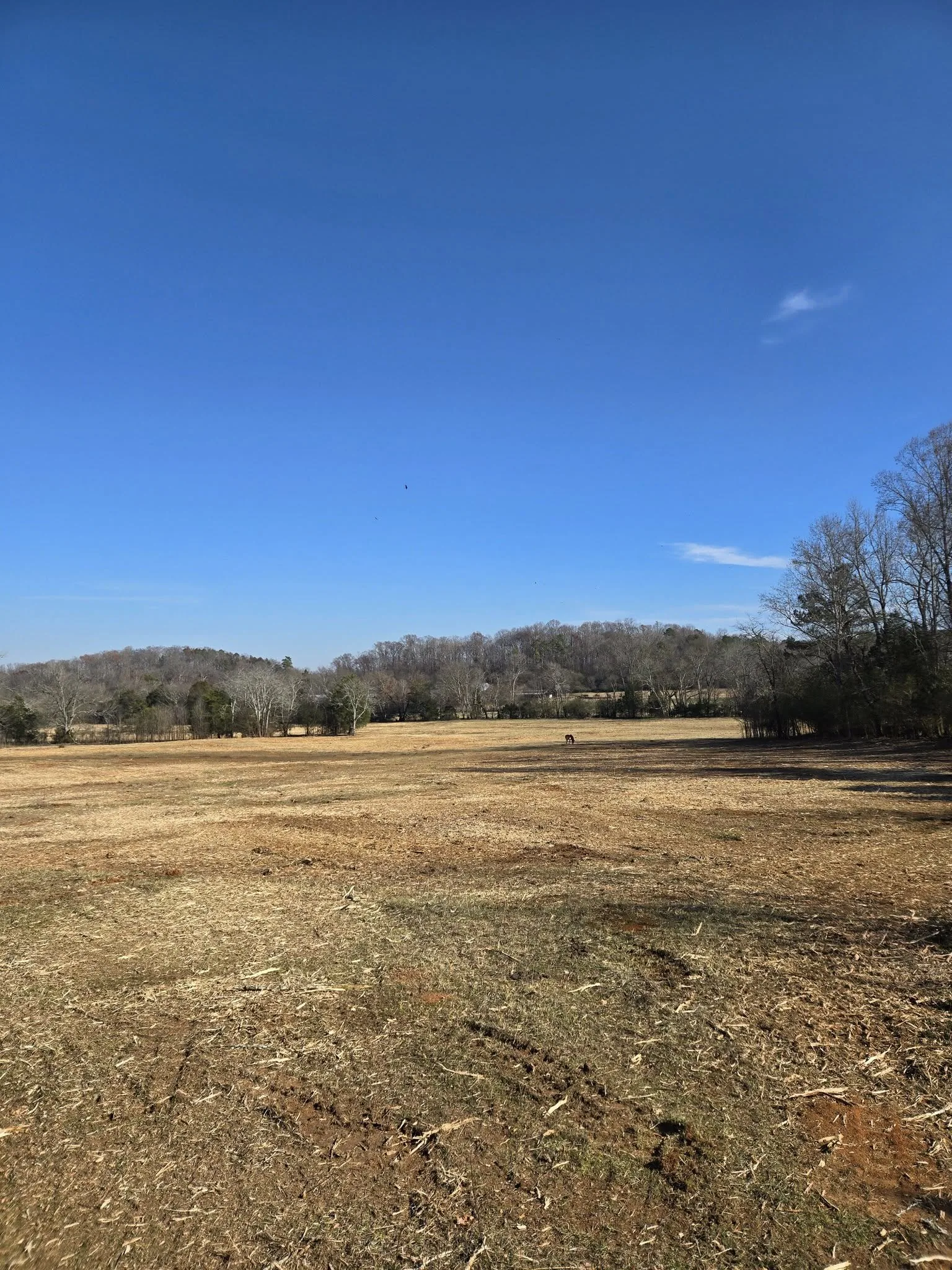 Same acreage cleared and opened up for use.