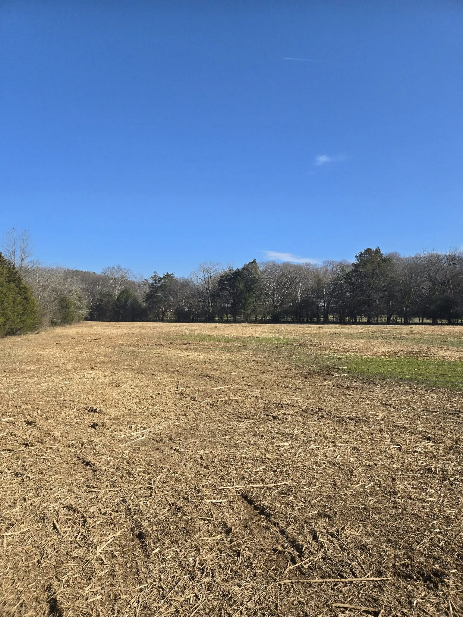 After — Lot reclamation.
