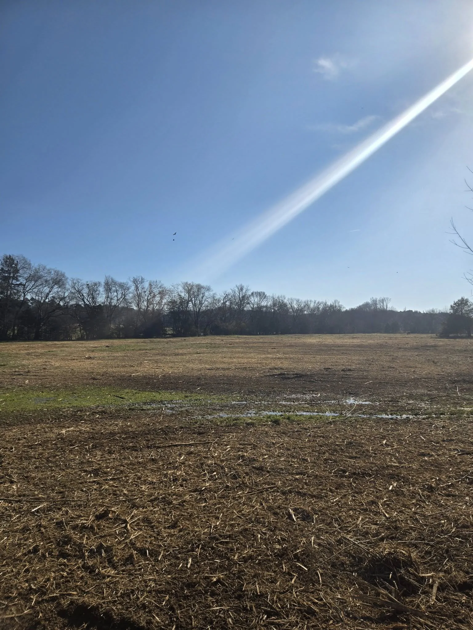 After — Acreage clear.