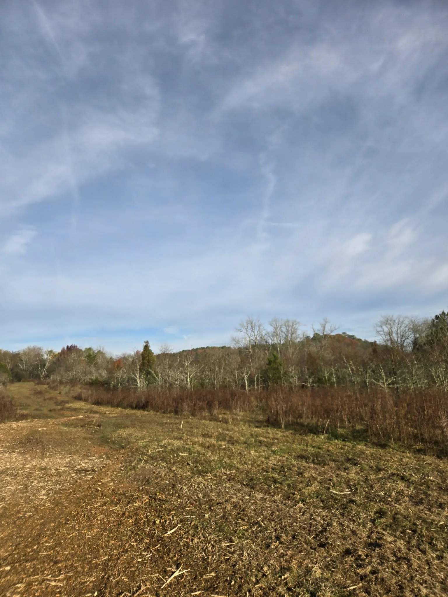 Before — Lot reclamation.
