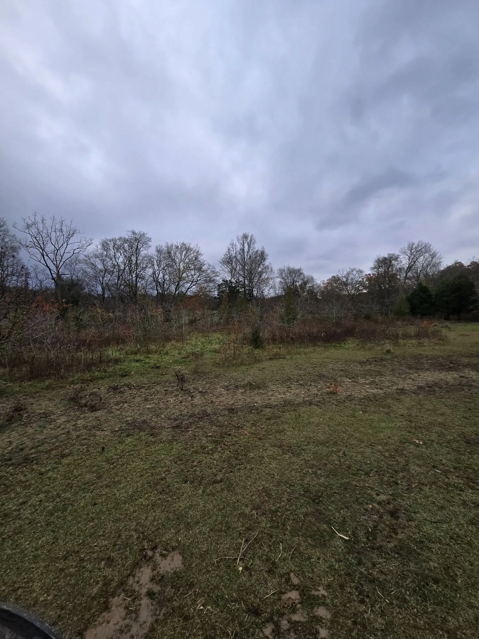 Before — Acreage clear.