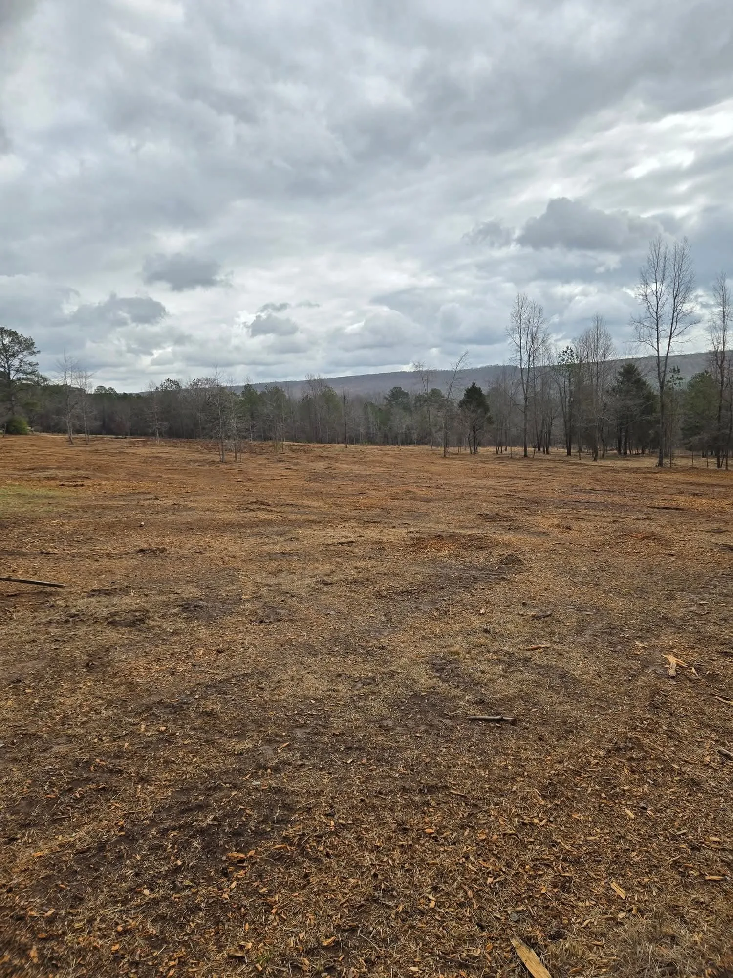 After — Commercial tract reclamation.