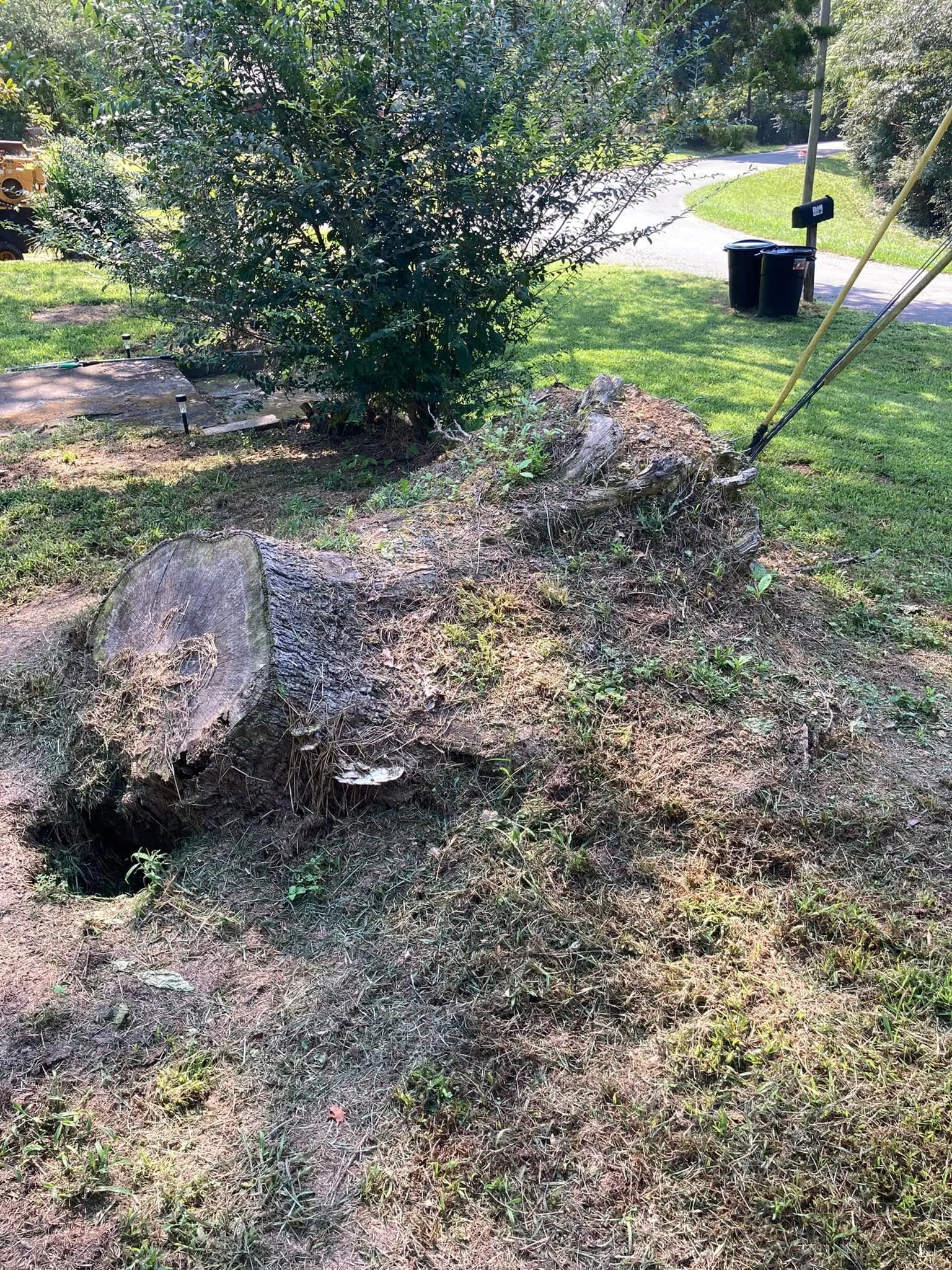 Residential yard with large stump before grinding.